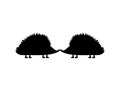 Flat vector. Illustration. Hedgehogs kiss on a white background Royalty Free Stock Photo